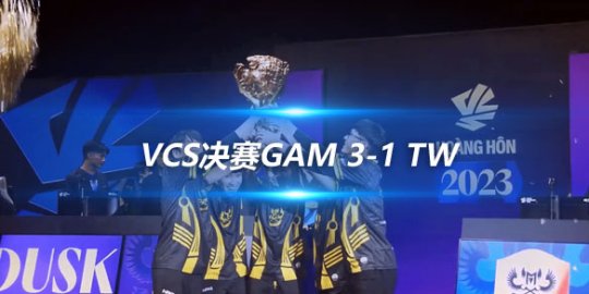 VCS决赛GAM 3-1 TW 决胜局大优连续输团