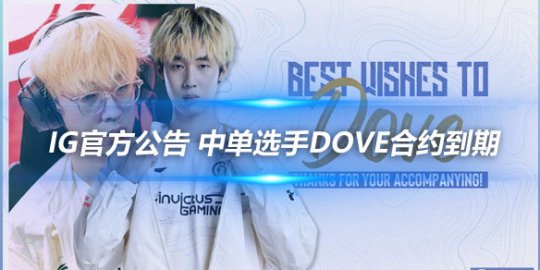 iG官方公告 中单选手Dove合约到期