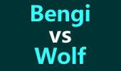 最强SOLO王I组小组赛：Bengi vs Wolf