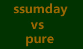 最强SOLO王6进4循环赛：ssumday vs Pure