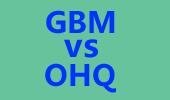 最强SOLO王冠军争夺赛：GBM vs OHQ