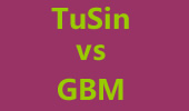 最强SOLO王6进4循环赛：TuSin vs GBM