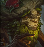 LOL英雄视频：森林之友艾翁