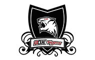 2016英雄联盟S6世界总决赛战队巡礼：ROX Tigers