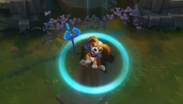 拳头公布2019对决事件：猫狗大战！