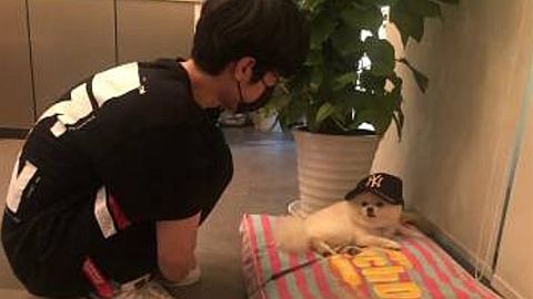 Ray向EDG队宠告别：看不到可爱的它了