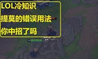 《LOL》19年冷门小知识